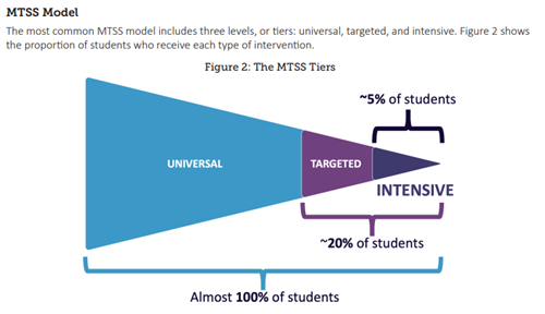 MTSS Overview